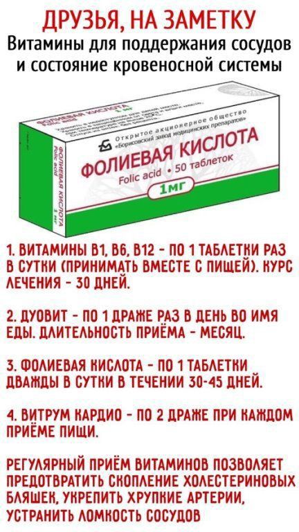 Фолиевая кислота: невидимый архитектор нашего здоровья